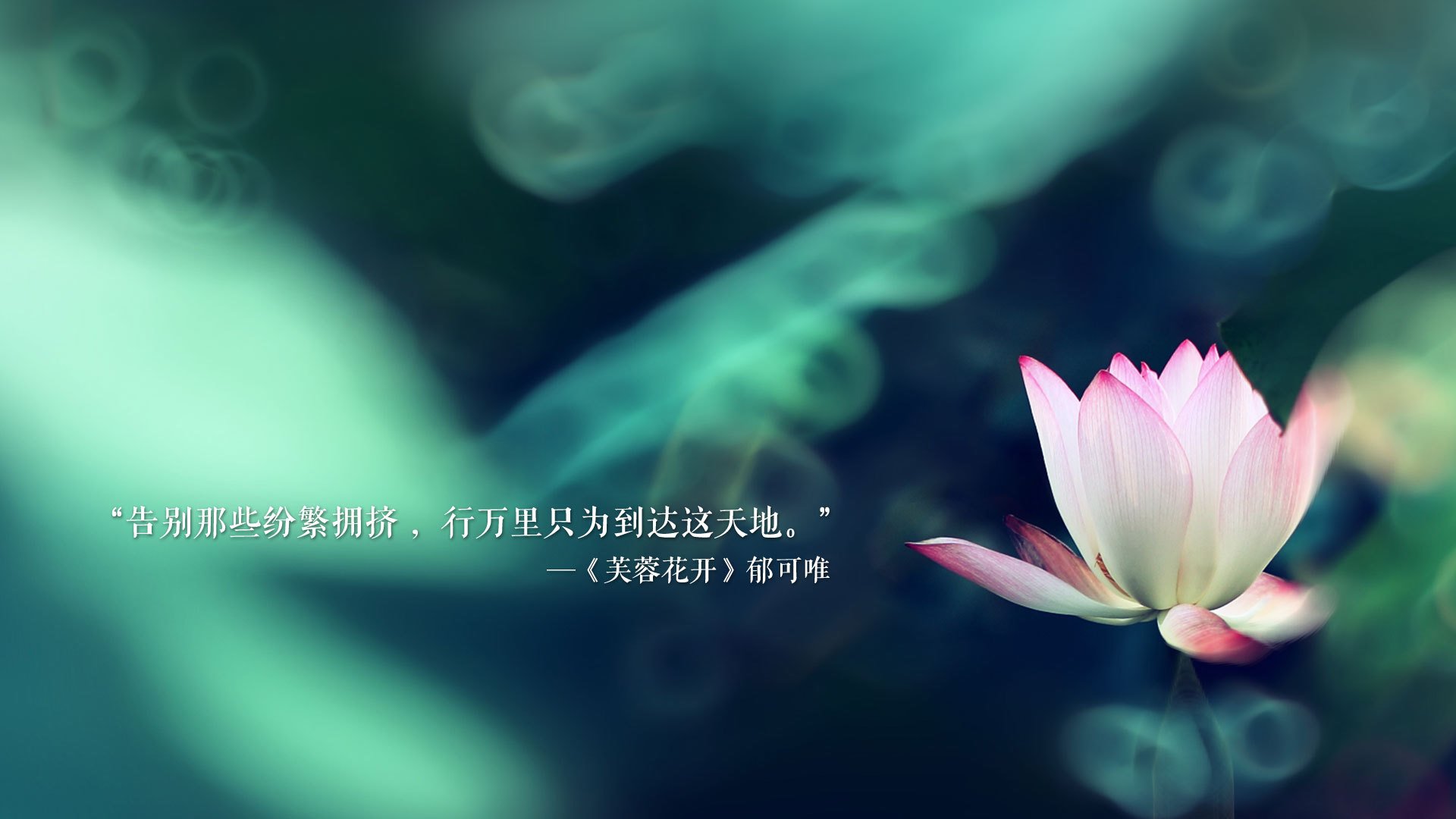 _极限徒步穿越沙漠：坚韧与勇气的考验_，在徒步穿越沙漠的时候需要注意哪些事项呢