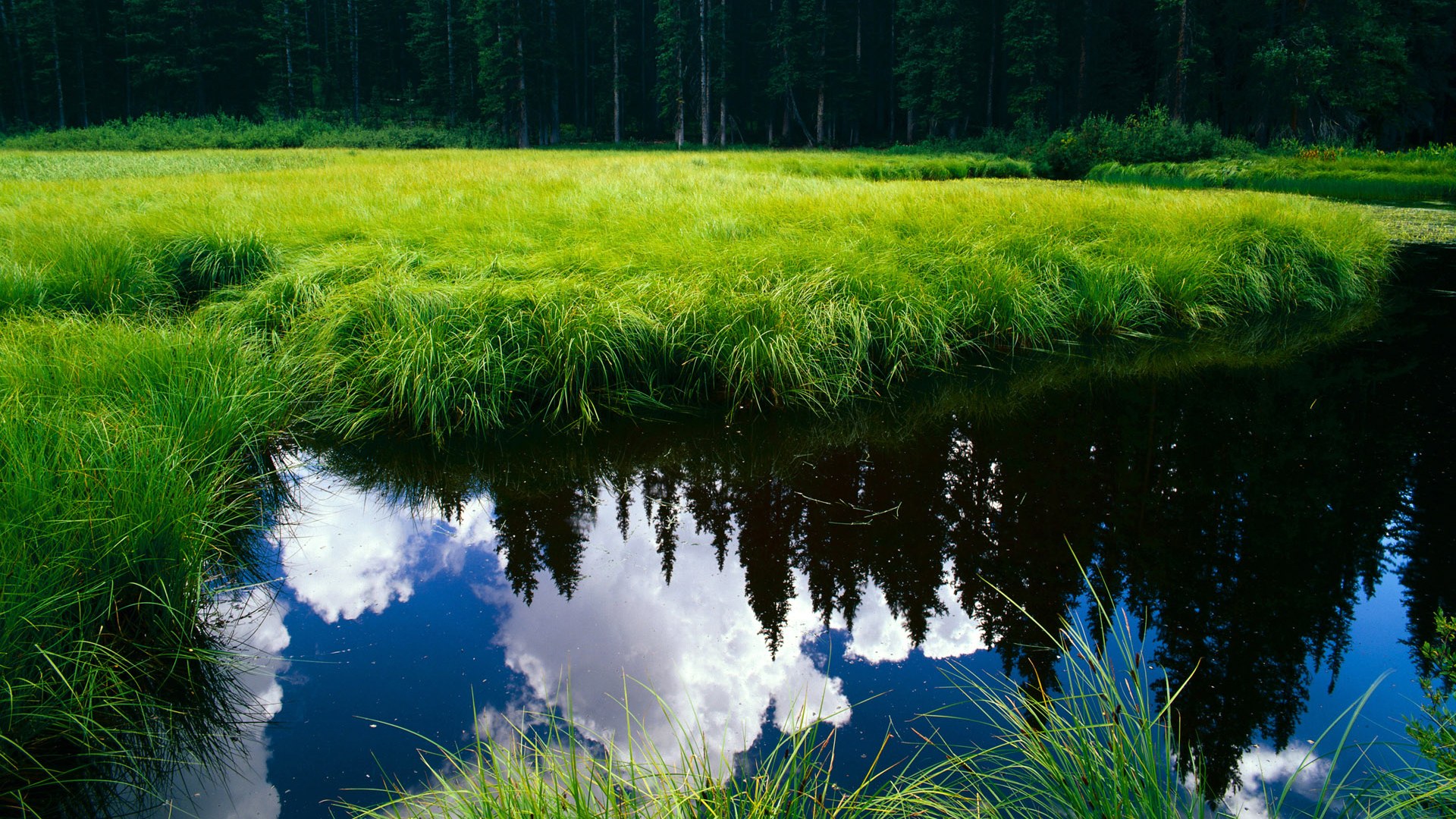 _运动员的慈善事业：用行动传递正能量_，运动员贡献