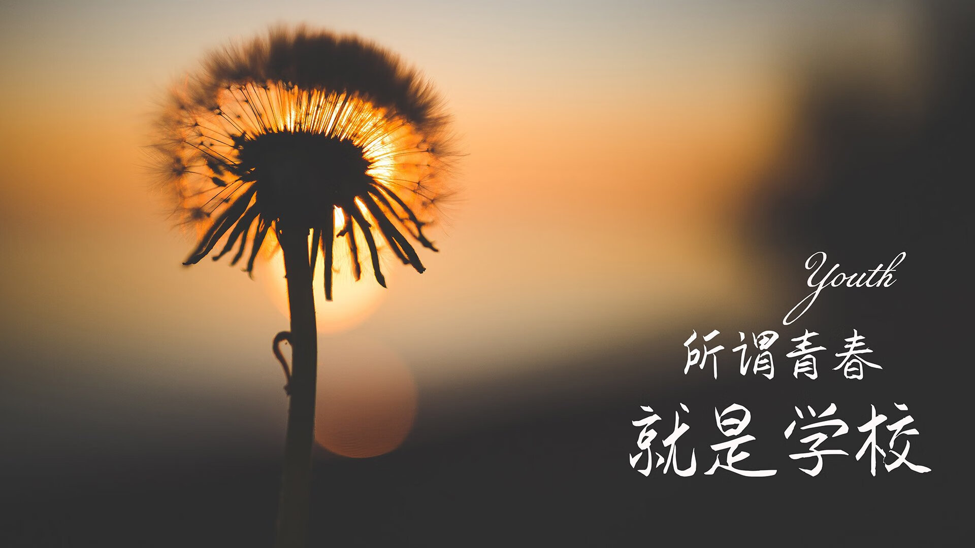 华体会hth-“冠军之路”揭秘：夺冠队伍的背后故事，冠军历程