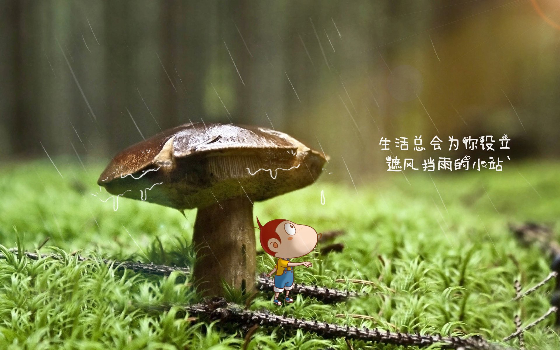 关键时刻：定胜负的最后十秒战术剖析，最后一局定胜负