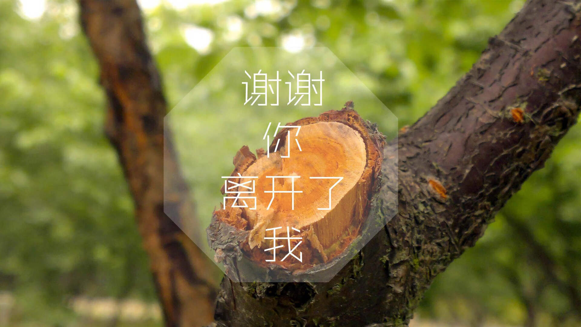 极限漂流赛：激流勇者的心跳之旅，极限漂流哪里好玩