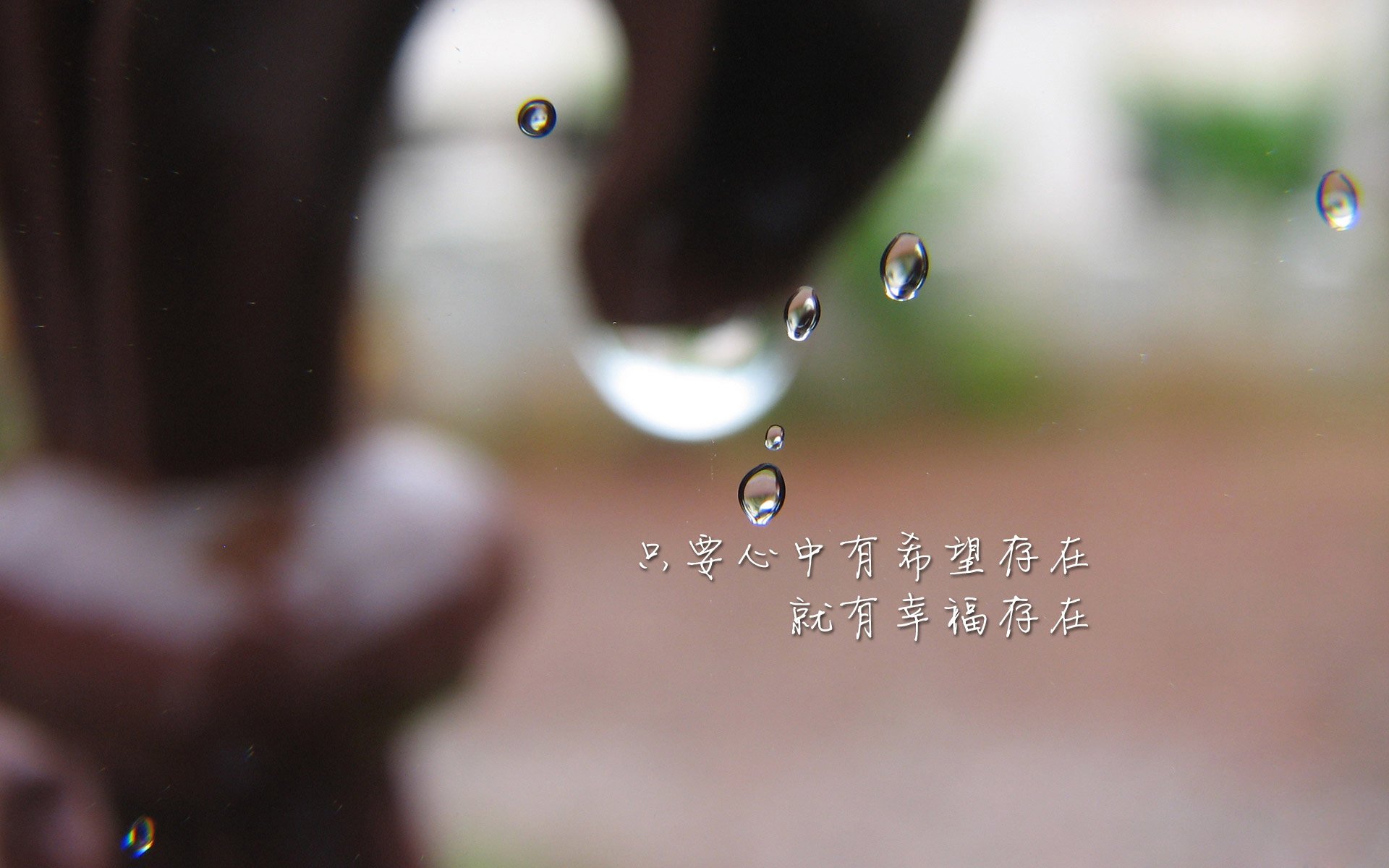 篮球场馆绿色环保改造项目积极推进，篮球场绿化