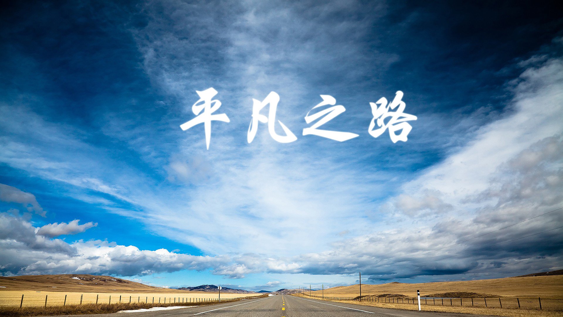 胜利背后：车手、团队的坚持与合作，lol胜利车队