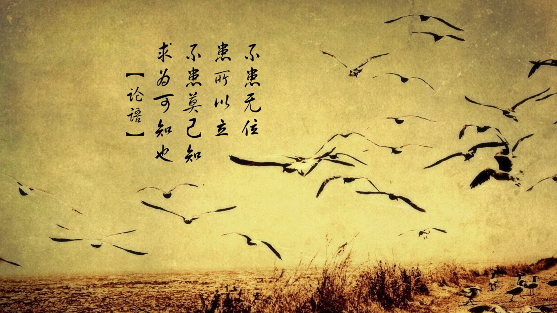 裁判新规实施：不断优化规则，让比赛更公平公正更透明，裁判规则是什么意思