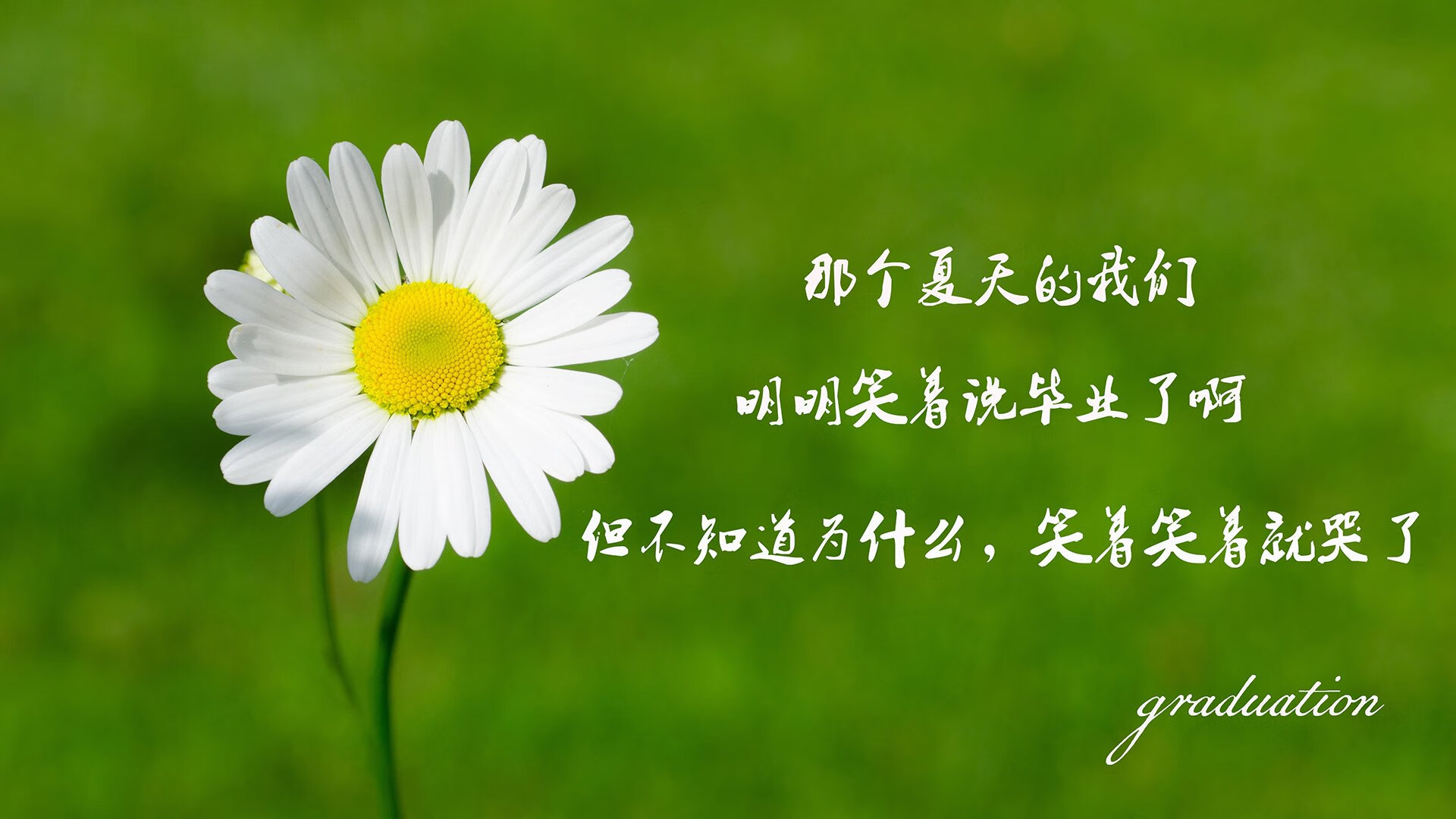 中超焦点战国安战平申花，申花战胜国安 小说