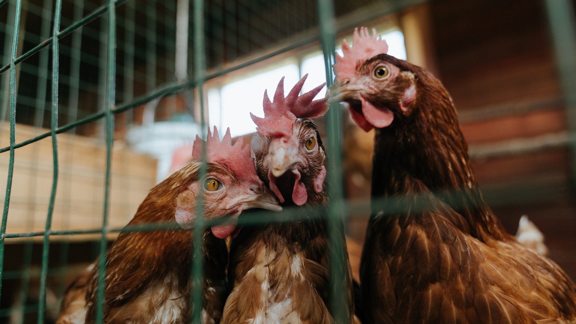 中超新秀出场时间与贡献度分析,中超选秀