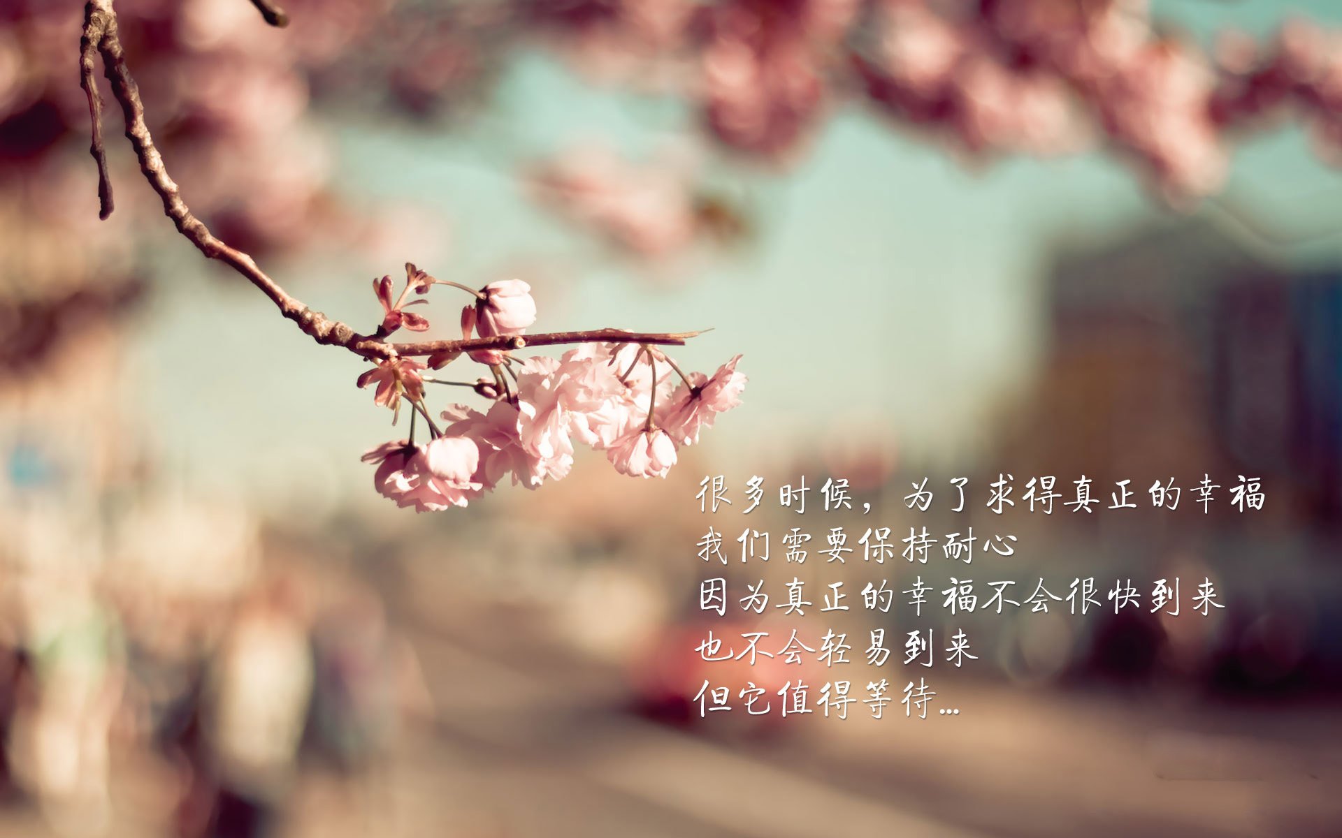 德国队在2024年国际乒联混合团体世界杯的优异成绩，2020国际乒联德国公开赛