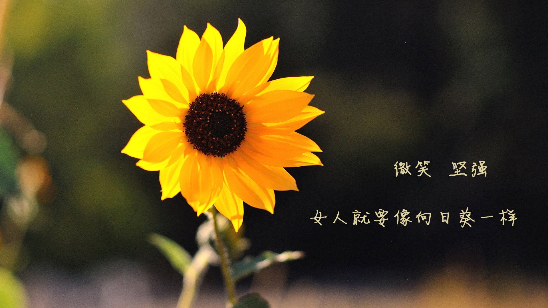 字母哥称新援融入快雄鹿未来更具竞争力，字母哥和雄鹿签约了吗